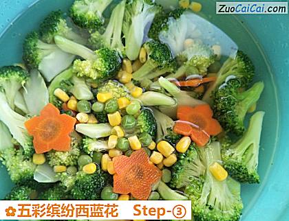 五彩缤纷西蓝花做法第三步骤