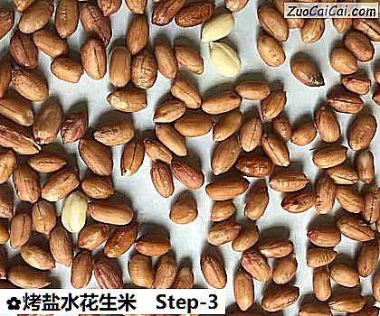 烤盐水花生米做法第三步骤