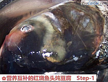 营养互补的红烧鱼头炖豆腐做法第一步骤