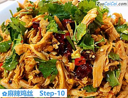 麻辣鸡丝做法第十步骤
