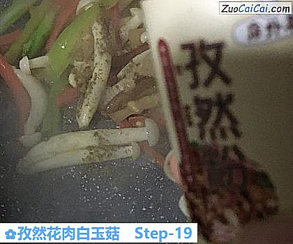 孜然花肉白玉菇做法第十九步骤