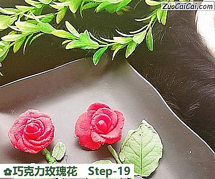 巧克力玫瑰花做法第十九步骤