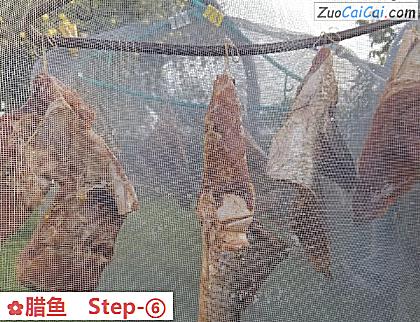 腊鱼做法第六步骤