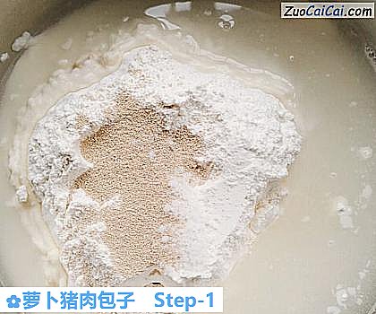 萝卜猪肉包子做法第一步骤