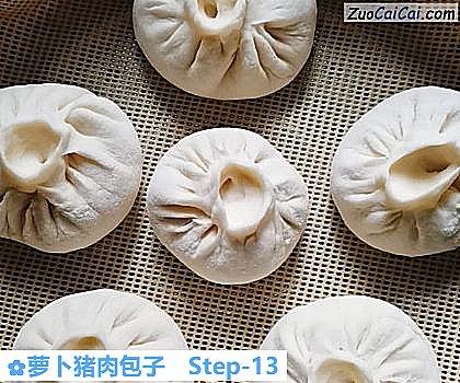 萝卜猪肉包子做法第十三步骤