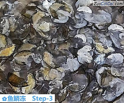鱼鳞冻做法第三步骤