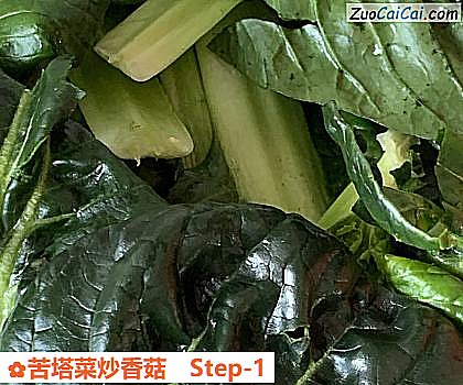 苦塔菜炒香菇做法第一步骤