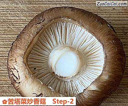 苦塔菜炒香菇做法第二步骤