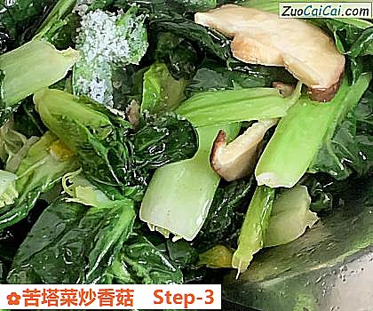 苦塔菜炒香菇做法第三步骤