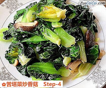 苦塔菜炒香菇做法第四步骤