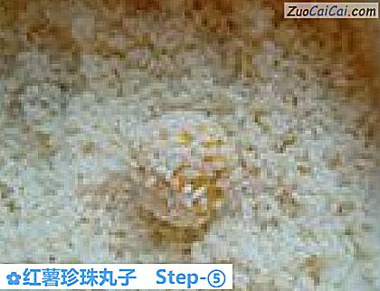 红薯珍珠丸子做法第五步骤