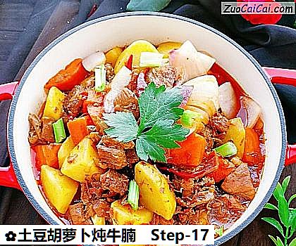 土豆胡萝卜炖牛腩成品图1