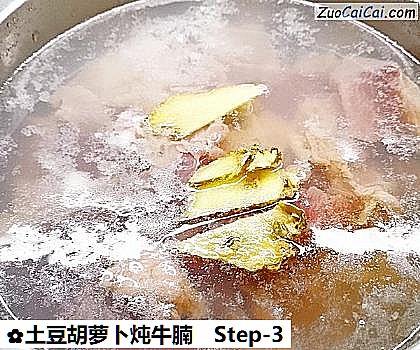 土豆胡萝卜炖牛腩做法第三步骤