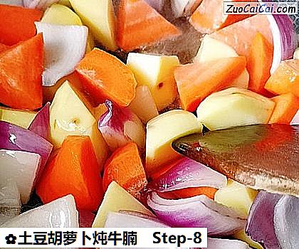 土豆胡萝卜炖牛腩做法第八步骤
