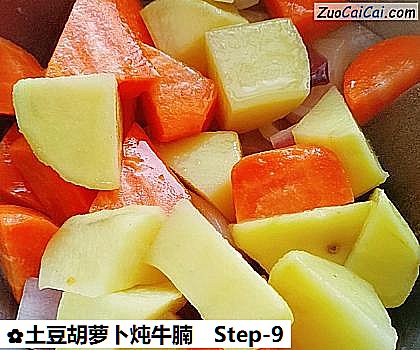 土豆胡萝卜炖牛腩做法第九步骤