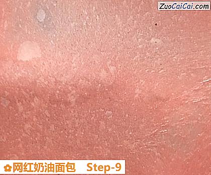 网红奶油面包做法第九步骤