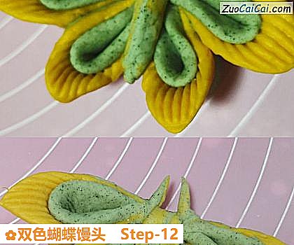 双色蝴蝶馒头做法第十二步骤