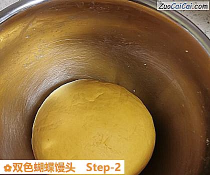 双色蝴蝶馒头做法第二步骤