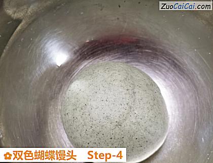 双色蝴蝶馒头做法第四步骤