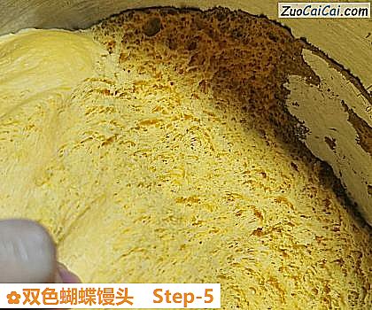 双色蝴蝶馒头做法第五步骤