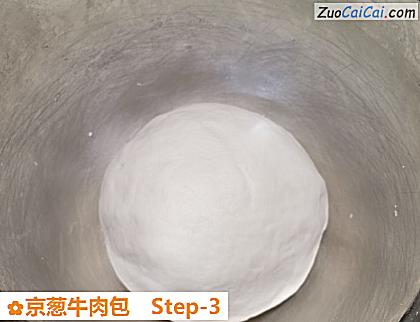 京葱牛肉包做法第三步骤