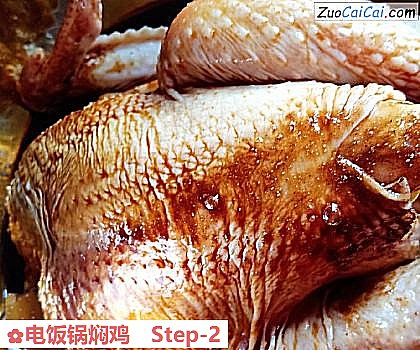 电饭锅焖鸡做法第二步骤