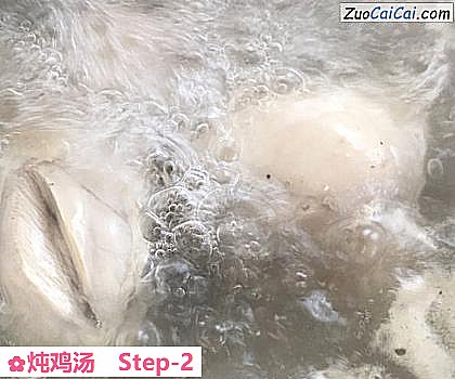 炖鸡汤做法第二步骤
