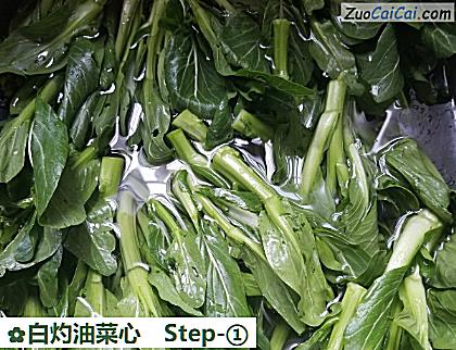 白灼油菜心做法第一步骤