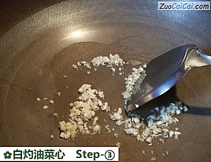 白灼油菜心做法第三步骤
