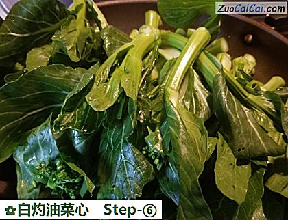 白灼油菜心做法第六步骤
