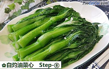 白灼油菜心做法第八步骤