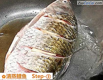 清蒸鲤鱼做法第三步骤