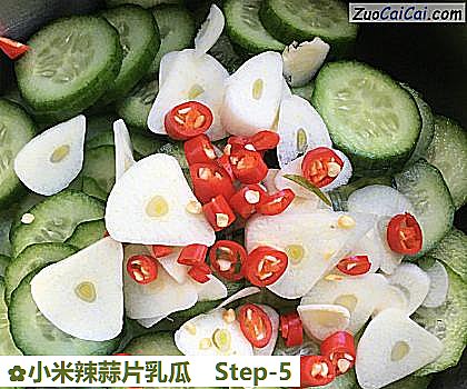 小米辣蒜片乳瓜做法第五步骤