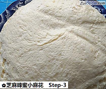 芝麻蜂蜜小麻花做法第三步骤