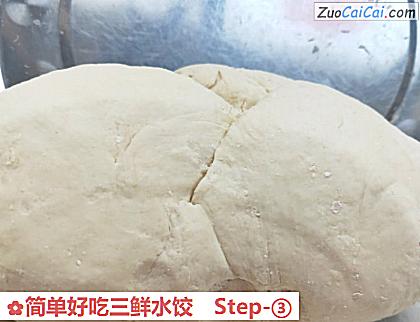简单好吃三鲜水饺做法第三步骤
