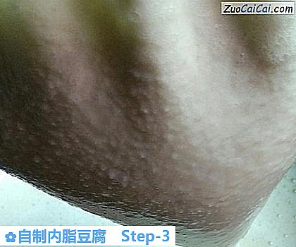 自制内脂豆腐做法第三步骤