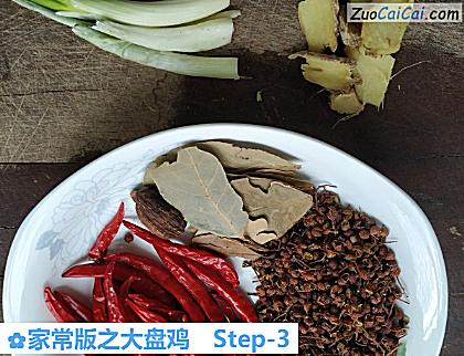 家常版之大盘鸡做法第三步骤