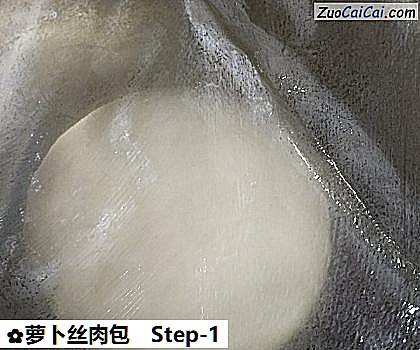 萝卜丝肉包做法第一步骤