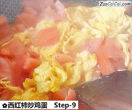 西红柿炒鸡蛋做法第九步骤