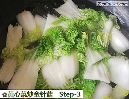 黄心菜炒金针菇做法第三步骤