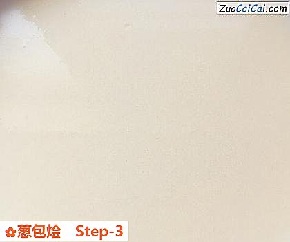 葱包烩做法第三步骤