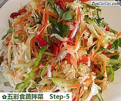 五彩食蔬拌菜做法第五步骤