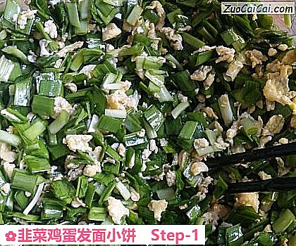 韭菜鸡蛋发面小饼做法第一步骤