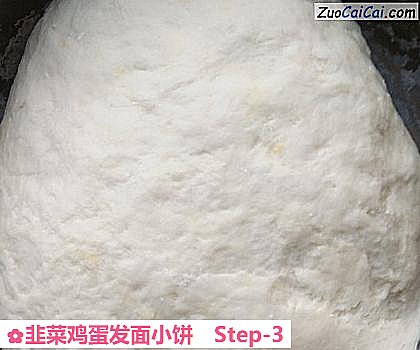 韭菜鸡蛋发面小饼做法第三步骤