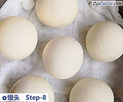 馒头做法第八步骤