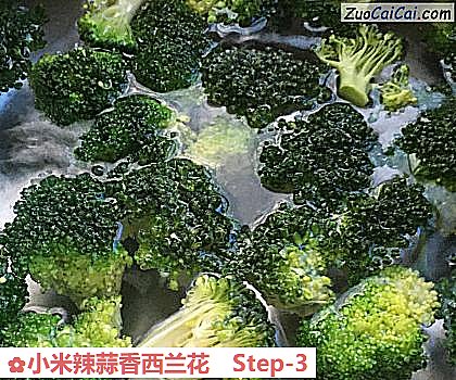 小米辣蒜香西兰花做法第三步骤
