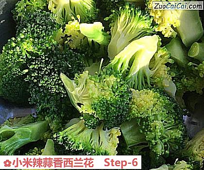 小米辣蒜香西兰花做法第六步骤