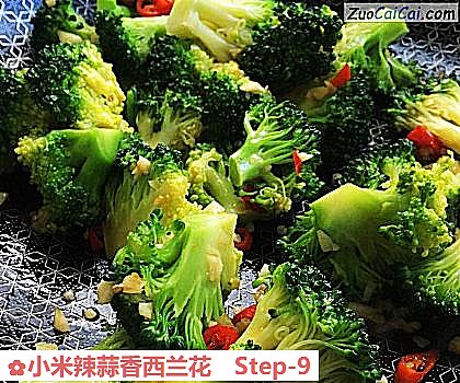 小米辣蒜香西兰花做法第九步骤