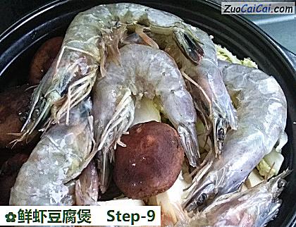 鲜虾豆腐煲做法第九步骤