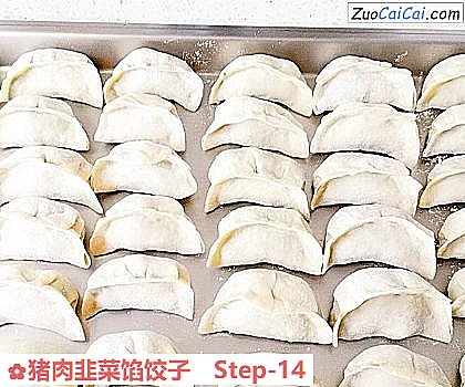 猪肉韭菜馅饺子做法第十四步骤